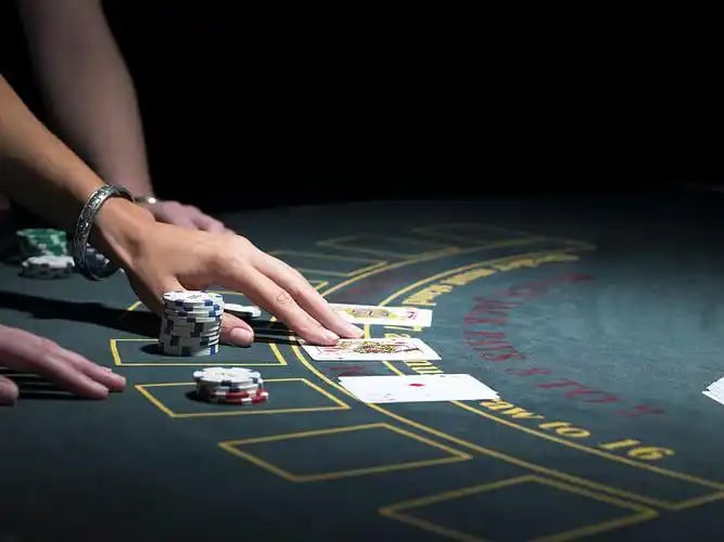 Promosi dan bonus terbaru di dwptogel untuk anggota baru dan lama